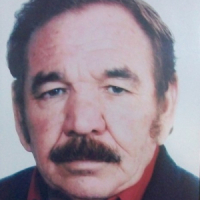 Alcides Meneghini