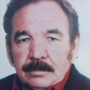 Alcides Meneghini