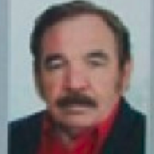 Alcides Meneghini